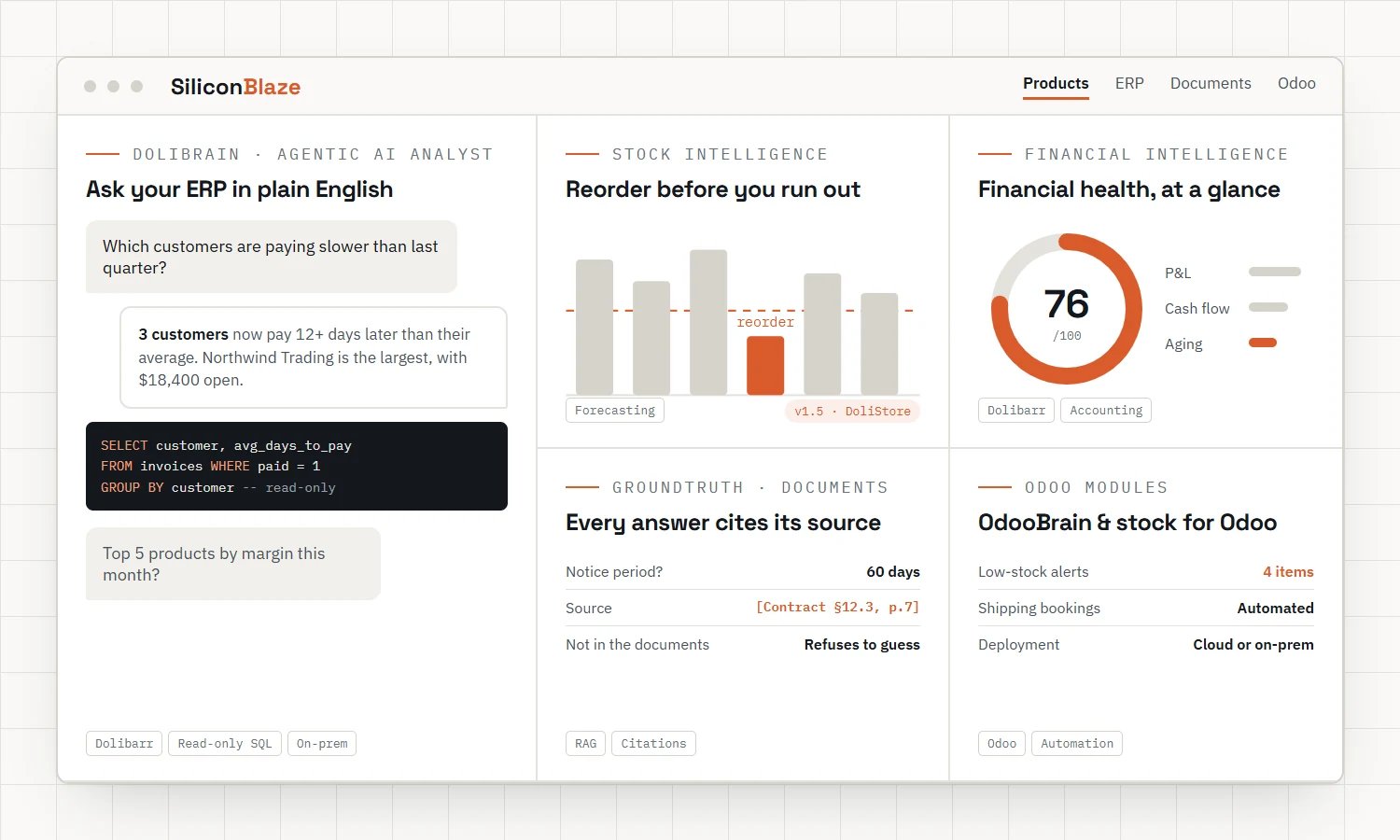 SiliconBlaze AI products